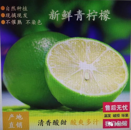 芒市注入兩千余萬資金，以電商賦能鄉(xiāng)村振興